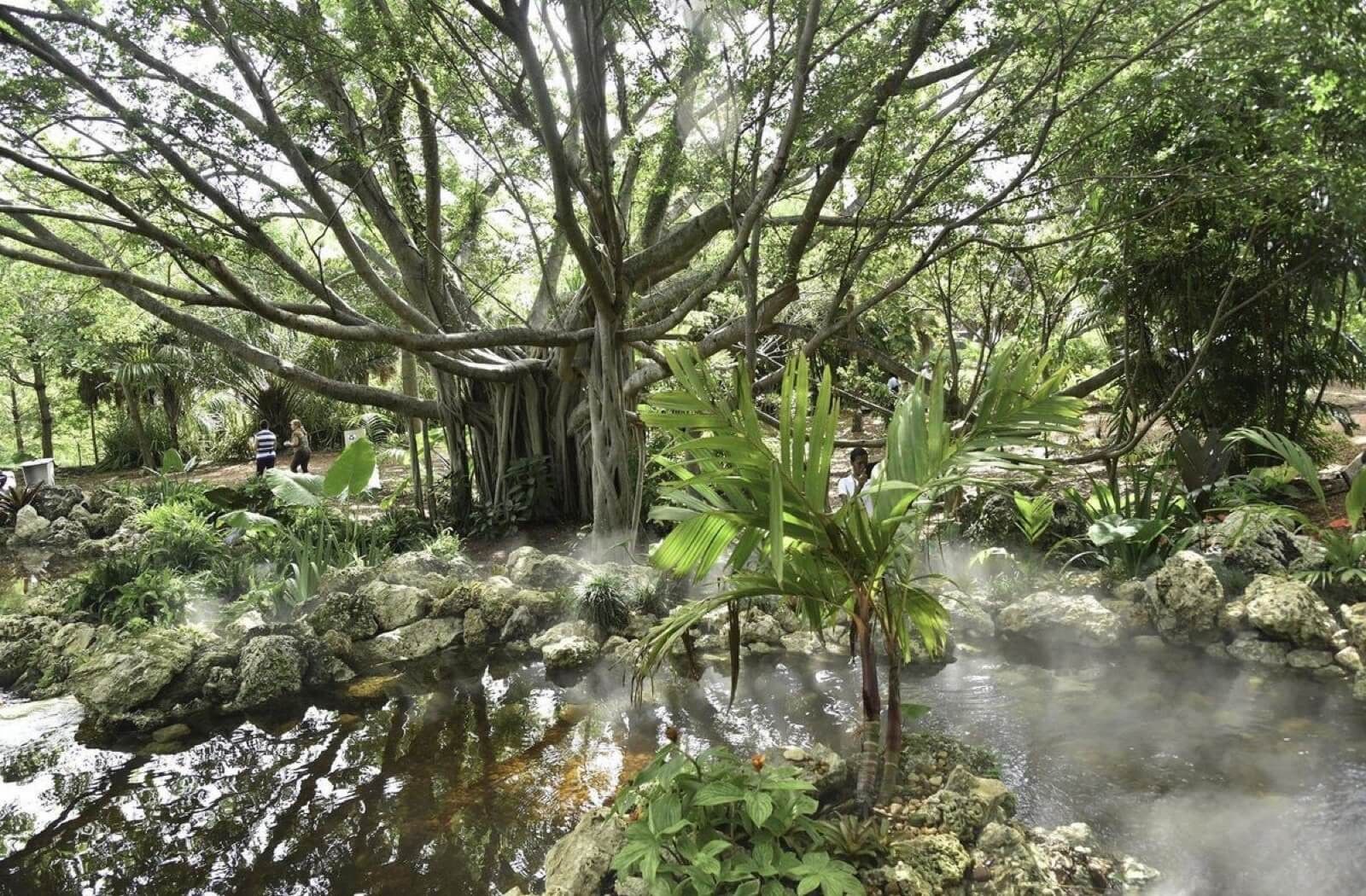 Deerfield Beach's Arboretum at Constitution Park