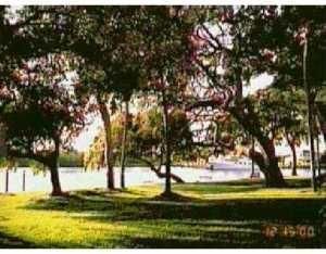 Vendido Recientemente: $290,000 (3 camas, 2 baños, 1624 Pies cuadrados)