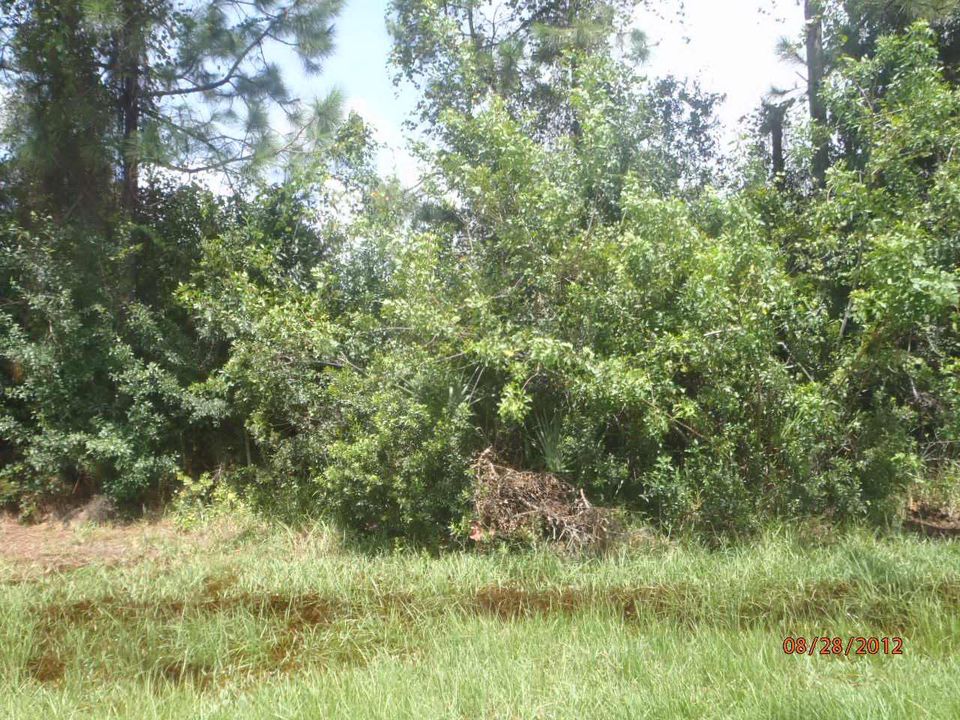 最近售出: $13,000 (0 贝兹, 0 浴室, 0 平方英尺)