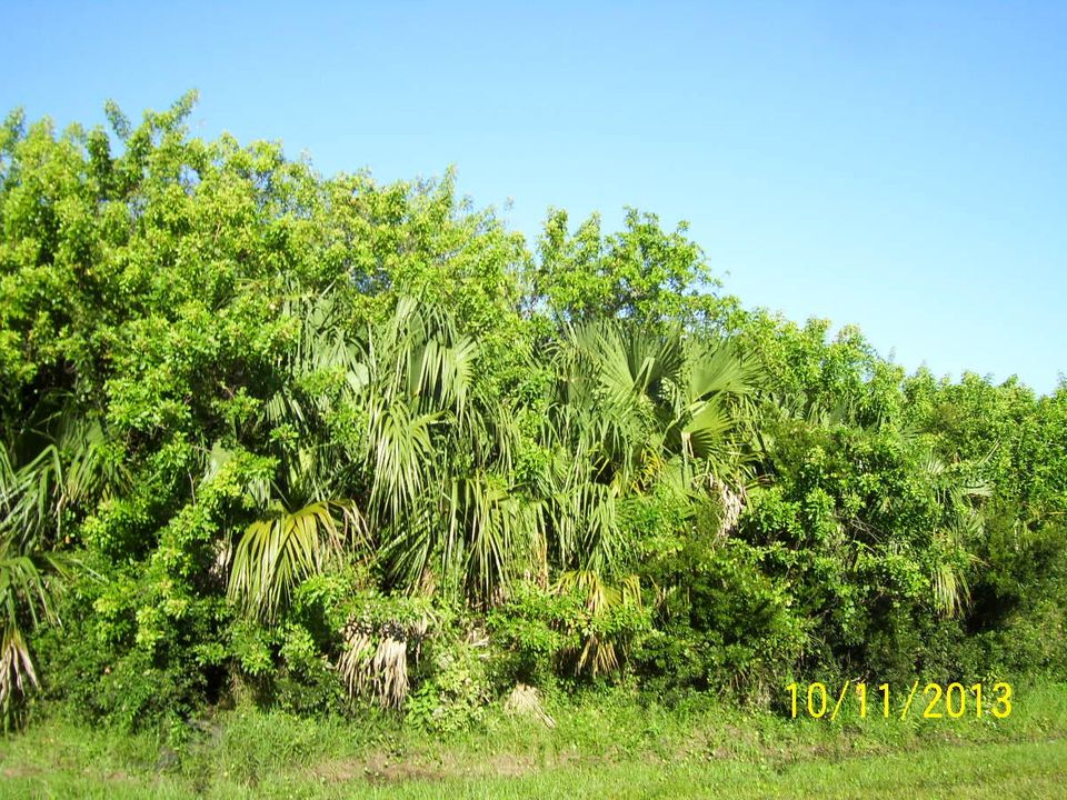 Vendido Recientemente: $17,000 (0 camas, 0 baños, 0 Pies cuadrados)