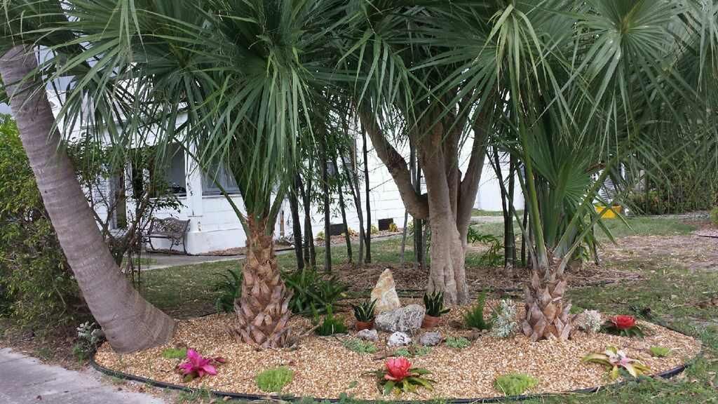 最近租的: $1,100 (2 贝兹, 2 浴室, 840 平方英尺)