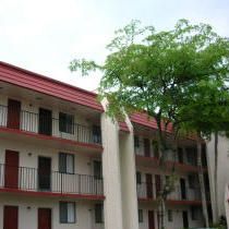 Recently Rented: $995 (1 beds, 1 baths, 780 Square Feet)