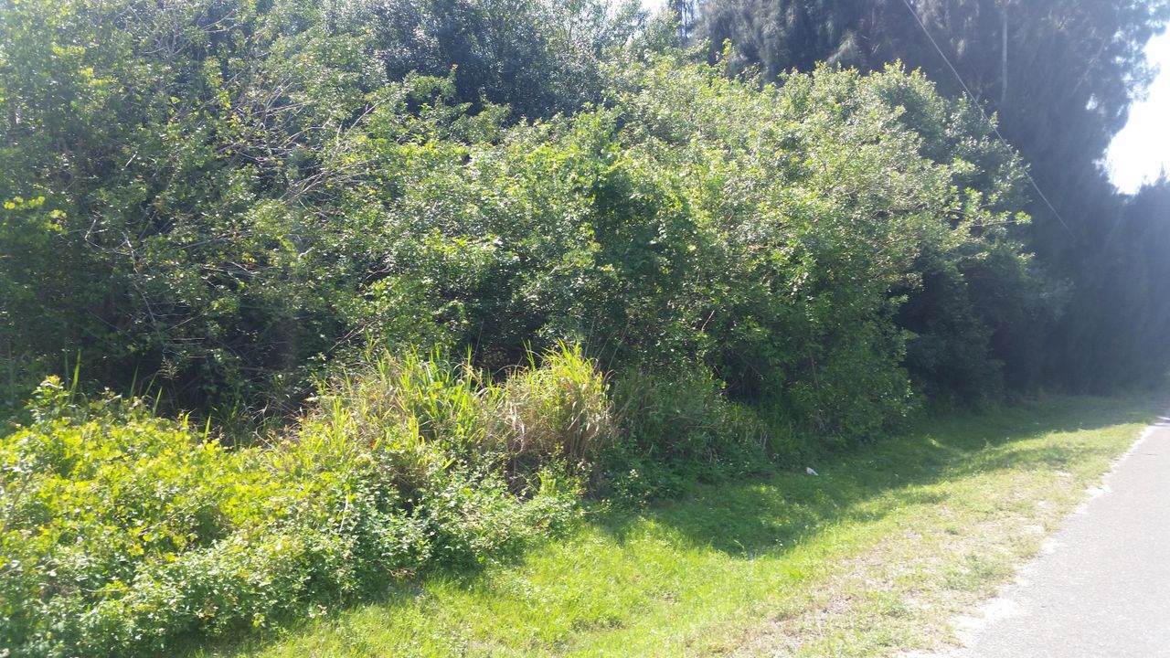 Recently Sold: $39,800 (0 beds, 0 baths, 0 Square Feet)