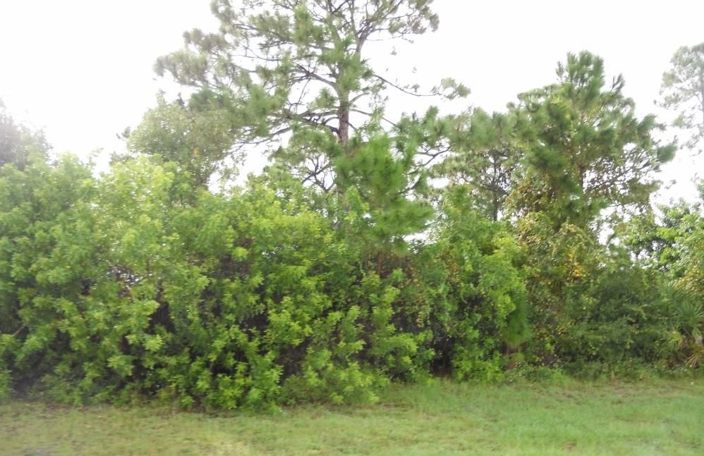 Vendido Recientemente: $27,900 (0 camas, 0 baños, 0 Pies cuadrados)