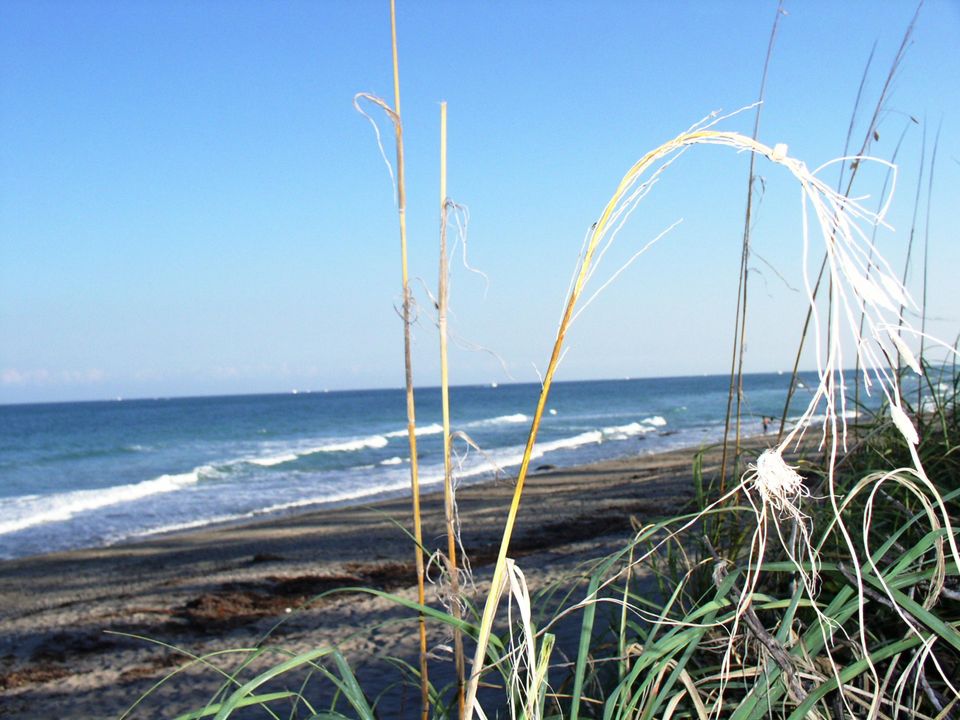 Recientemente alquilado: $3,395 (2 camas, 2 baños, 1188 Pies cuadrados)