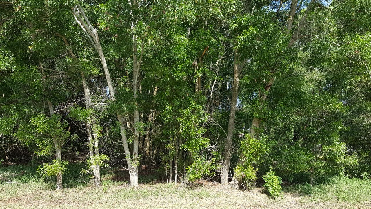 Recently Sold: $23,000 (0 beds, 0 baths, 0 Square Feet)