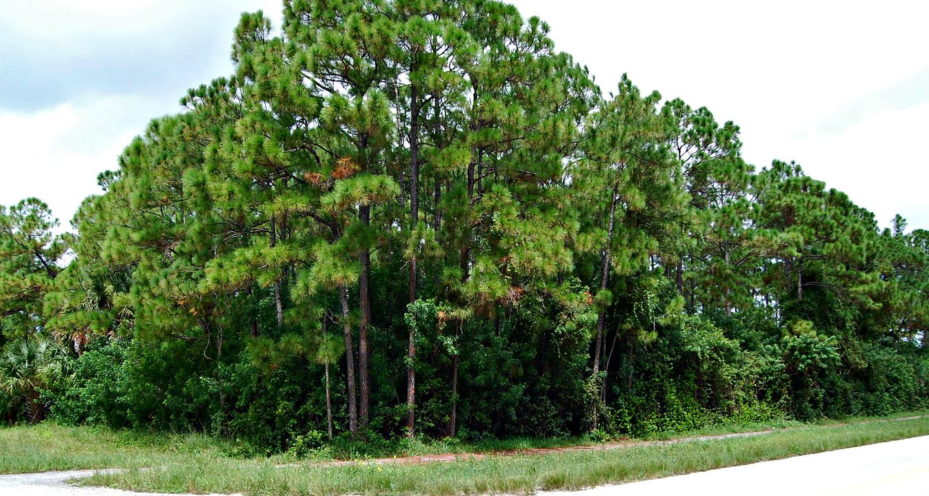 Recently Sold: $88,000 (0 beds, 0 baths, 0 Square Feet)