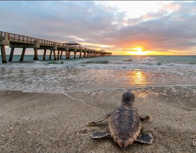 最近租的: $1,500 (1 贝兹, 1 浴室, 356 平方英尺)