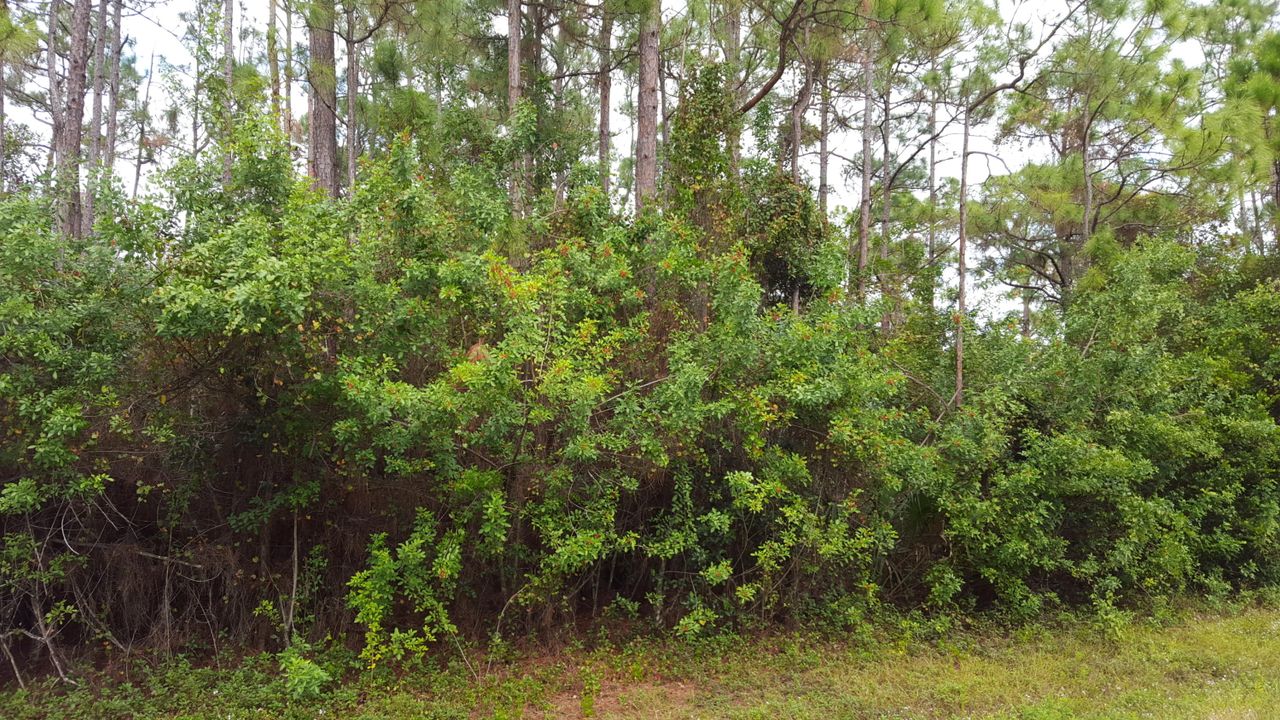 Vendido Recientemente: $79,000 (0 camas, 0 baños, 0 Pies cuadrados)