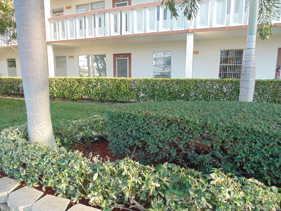 最近租的: $1,000 (2 贝兹, 1 浴室, 880 平方英尺)