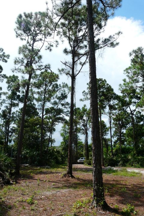 Recently Sold: $80,000 (0 beds, 0 baths, 0 Square Feet)