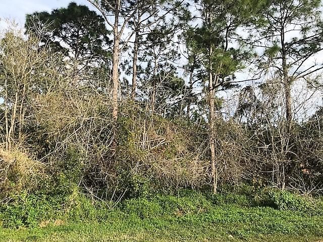 最近售出: $24,500 (0 贝兹, 0 浴室, 0 平方英尺)