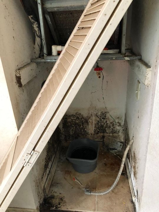 最近售出: $25,000 (3 贝兹, 2 浴室, 1054 平方英尺)