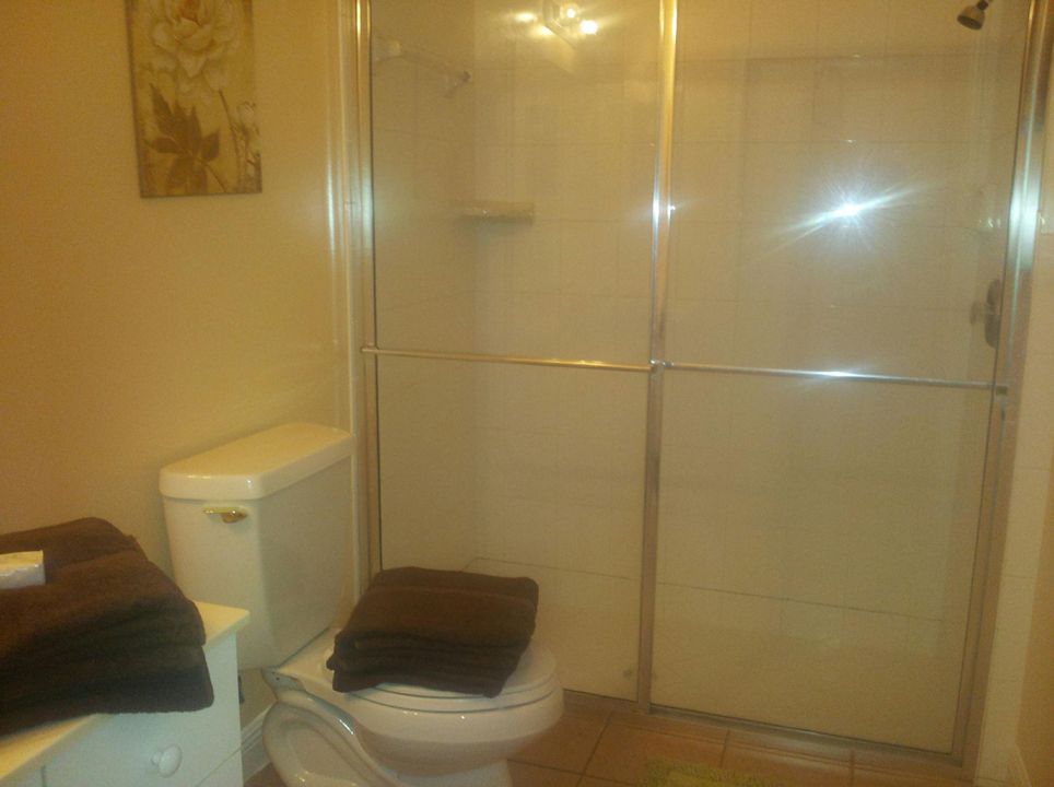 最近租的: $900 (1 贝兹, 1 浴室, 250 平方英尺)