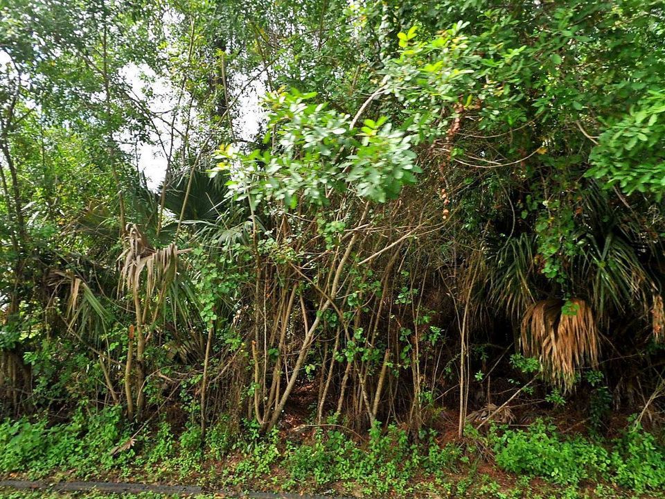 Недавно продано: $30,000 (0 спален, 0 ванн, 0 Квадратных фут)