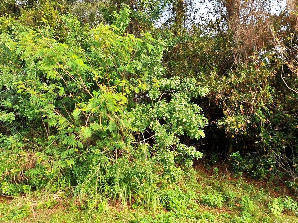 Recently Sold: $37,900 (0 beds, 0 baths, 0 Square Feet)