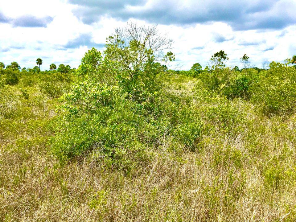 Vendido Recientemente: $6,000 (0 camas, 0 baños, 0 Pies cuadrados)