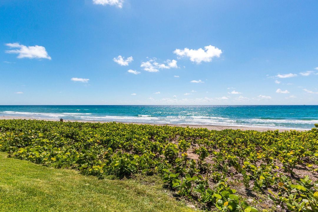 Недавно арендовано: $7,000 (3 спален, 2 ванн, 1852 Квадратных фут)