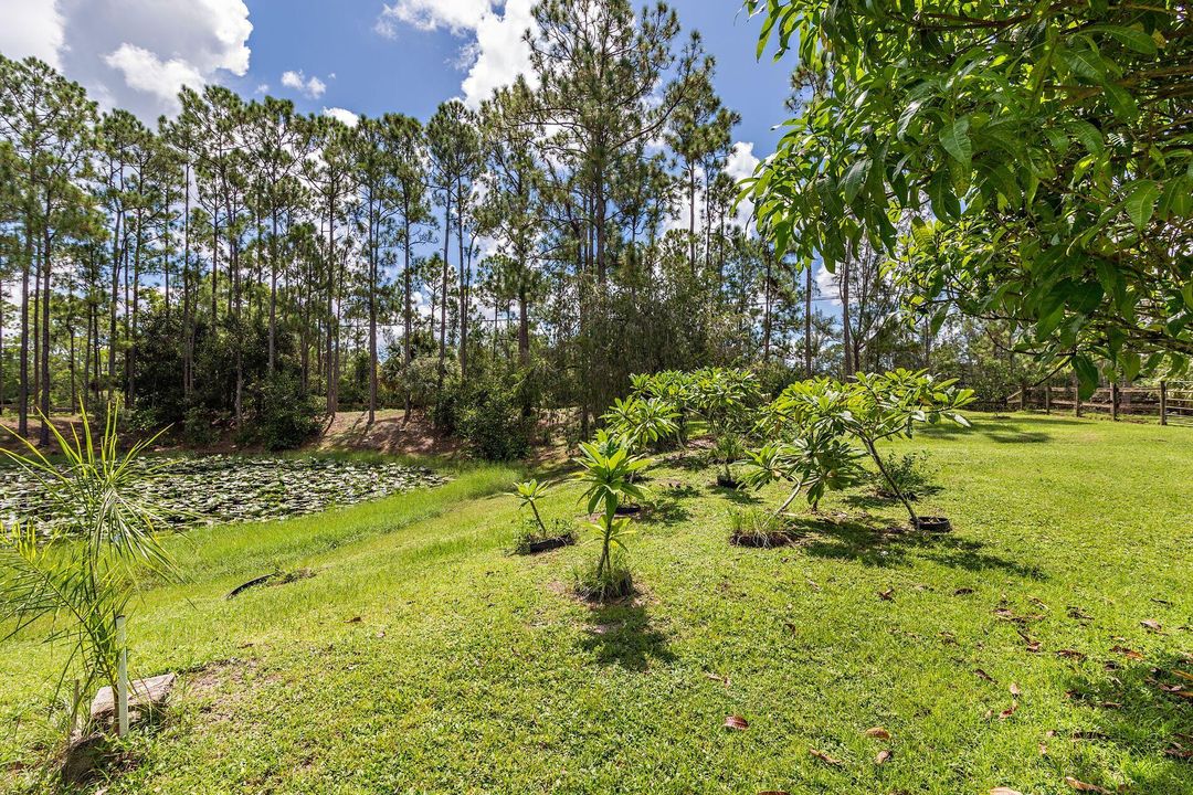 Vendido Recientemente: $969,000 (4 camas, 2 baños, 1971 Pies cuadrados)