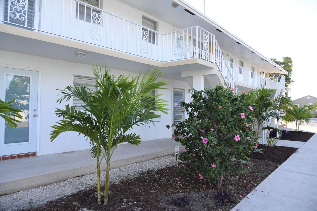 最近租的: $1,300 (1 贝兹, 1 浴室, 562 平方英尺)