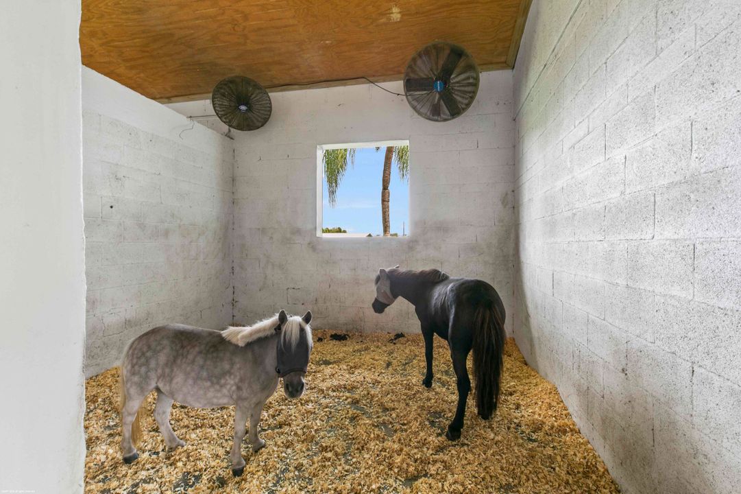 На продажу: $2,950,000 (4 спален, 4 ванн, 2006 Квадратных фут)