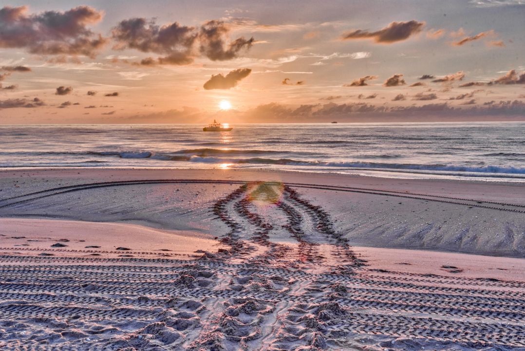 Activo con contrato: $4,750,000 (5 camas, 5 baños, 6174 Pies cuadrados)