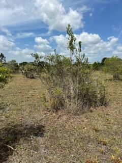 Под контрактом: $27,500 (0 спален, 0 ванн, 0 Квадратных фут)