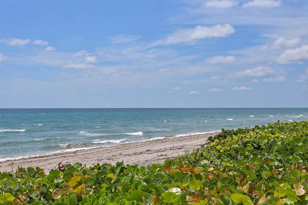 For Sale: $1,390,000 (3 beds, 2 baths, 1852 Square Feet)