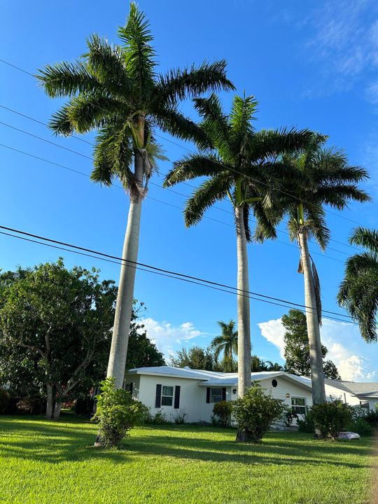 For Sale: $425,000 (3 beds, 2 baths, 1501 Square Feet)