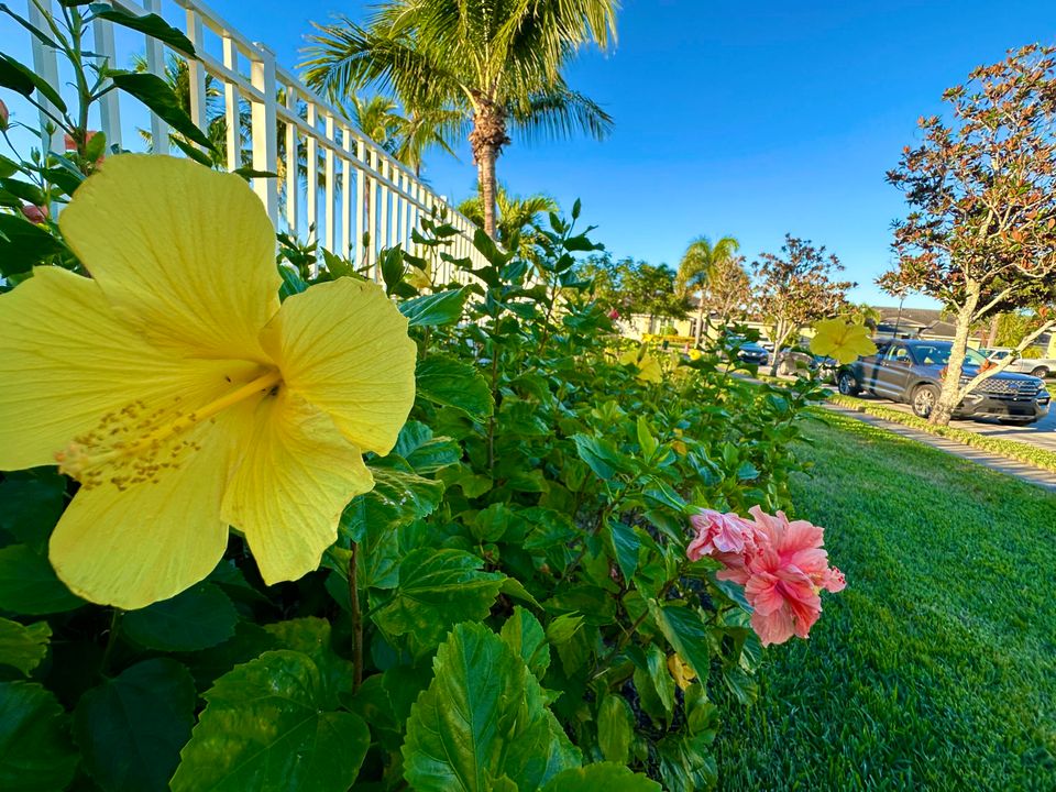 For Sale: $379,999 (3 beds, 2 baths, 2082 Square Feet)