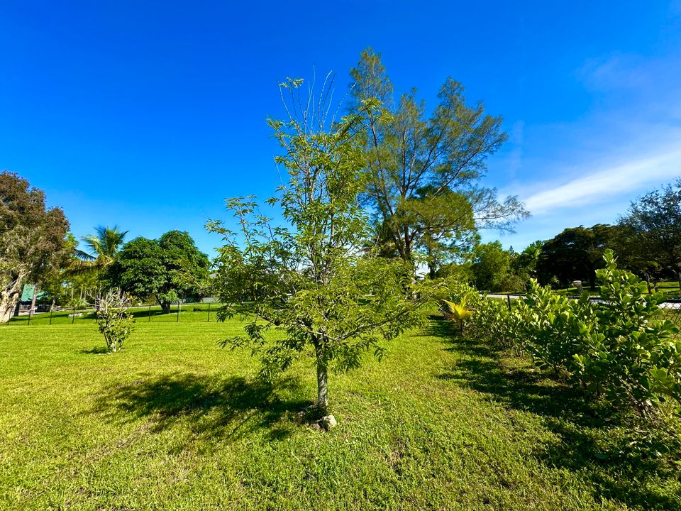 For Sale: $750,000 (4 beds, 2 baths, 2330 Square Feet)