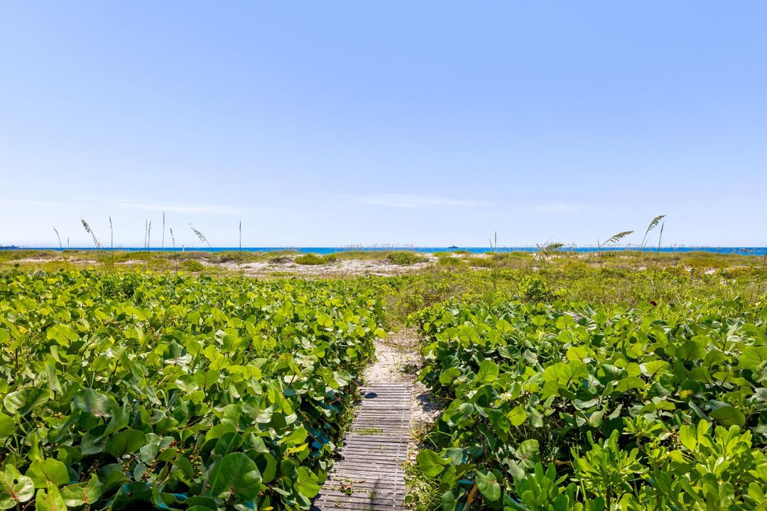 合同活跃: $125,000 (5 贝兹, 7 浴室, 8005 平方英尺)