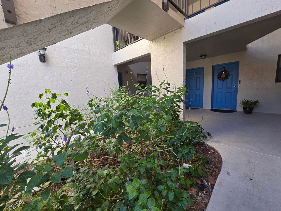 For Rent: $1,750 (2 beds, 1 baths, 904 Square Feet)