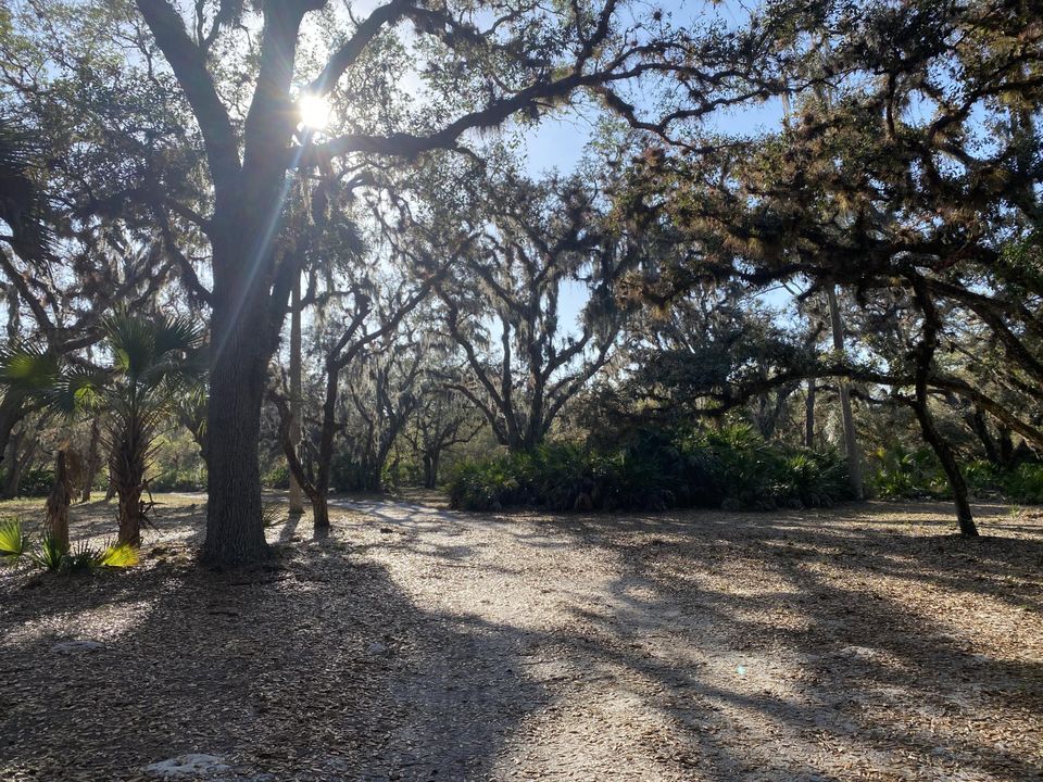 На продажу: $239,000 (0 спален, 0 ванн, 0 Квадратных фут)