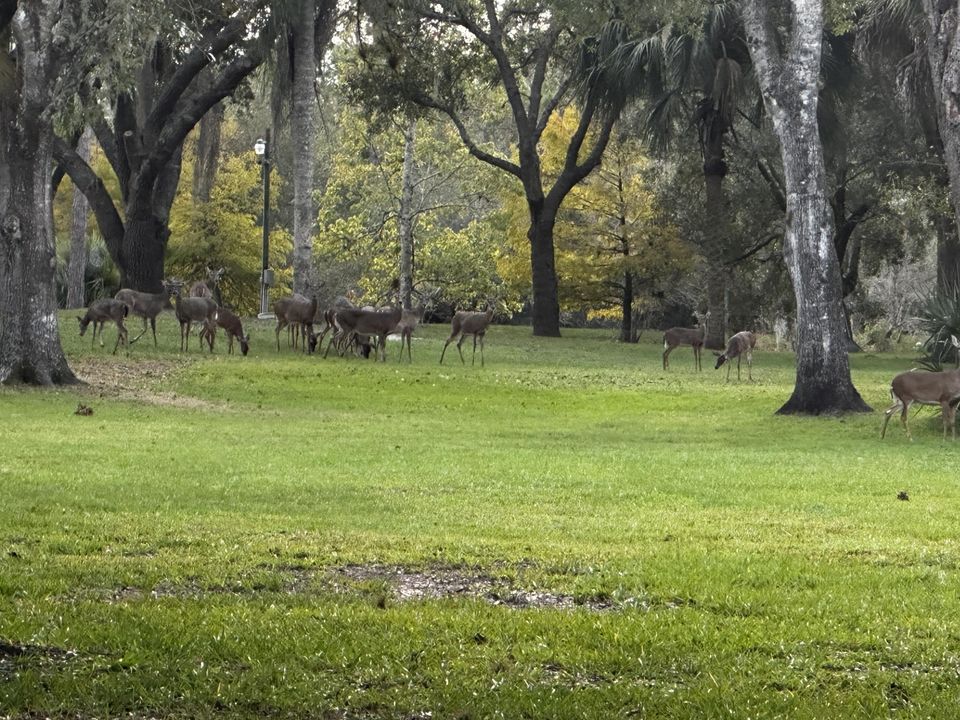 待售: $225,000 (0 贝兹, 0 浴室, 0 平方英尺)