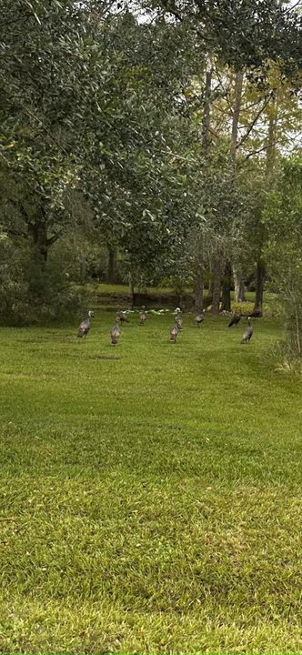 待售: $225,000 (0 贝兹, 0 浴室, 0 平方英尺)