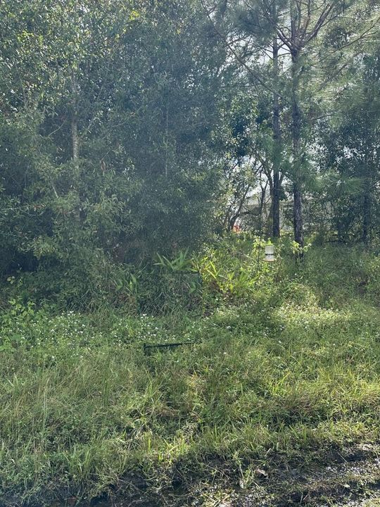 Recently Sold: $155,000 (0 beds, 0 baths, 0 Square Feet)