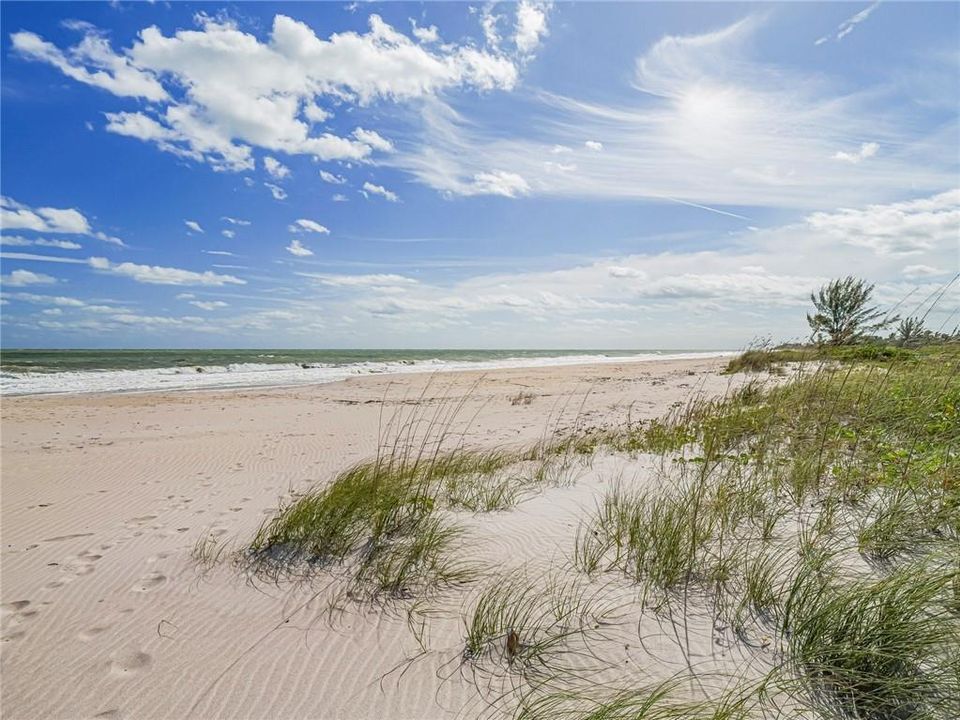 В аренду: $5,900 (2 спален, 2 ванн, 2955 Квадратных фут)