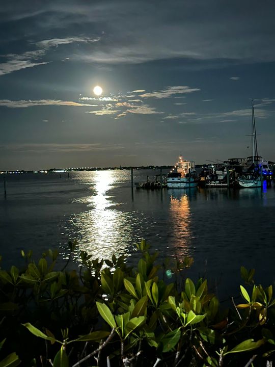 For Rent: $5,250 (2 beds, 2 baths, 1228 Square Feet)