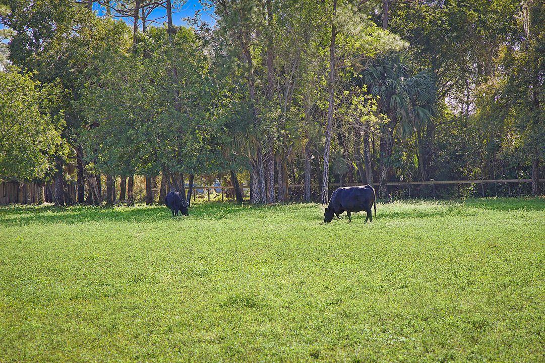 For Sale: $3,100,000 (3 beds, 2 baths, 1594 Square Feet)