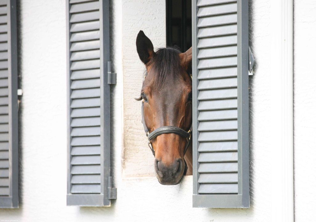 合同活跃: $3,900,000 (0 贝兹, 0 浴室, 1300 平方英尺)