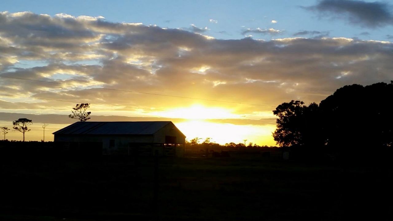 For Sale: $495,000 (3 beds, 2 baths, 3593 Square Feet)