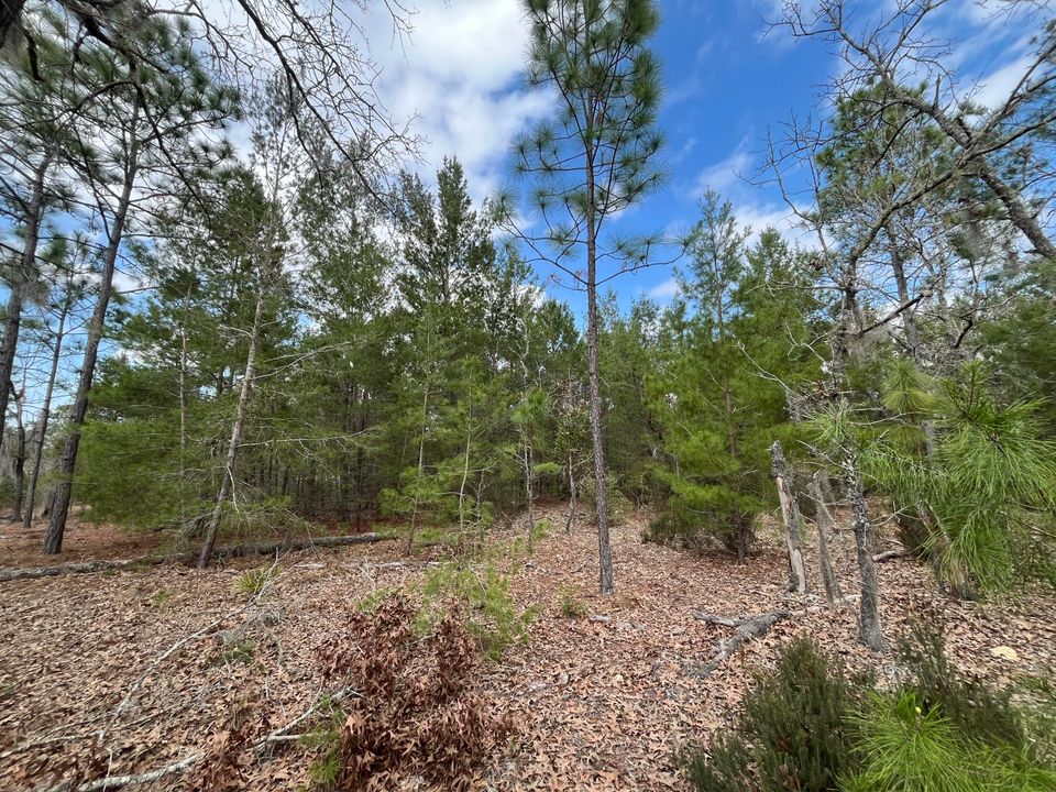 На продажу: $12,800 (0 спален, 0 ванн, 0 Квадратных фут)