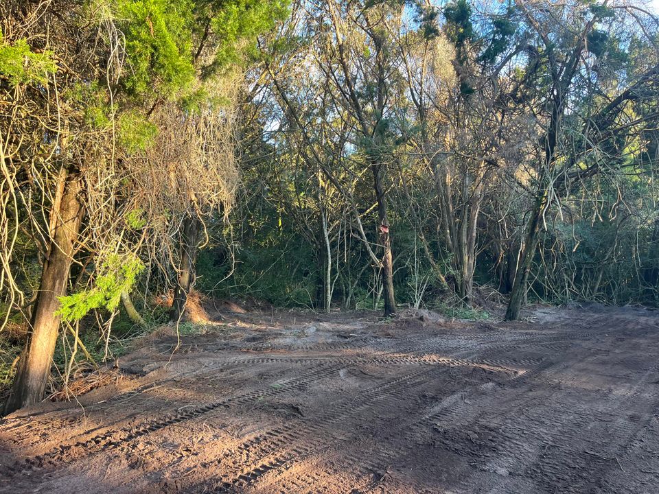 For Sale: $229,900 (0 beds, 0 baths, 0 Square Feet)