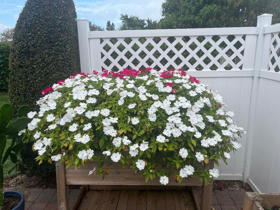 合同活跃: $224,900 (3 贝兹, 2 浴室, 1520 平方英尺)