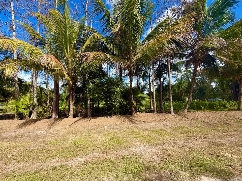 En Venta: $300,000 (0 camas, 0 baños, 0 Pies cuadrados)