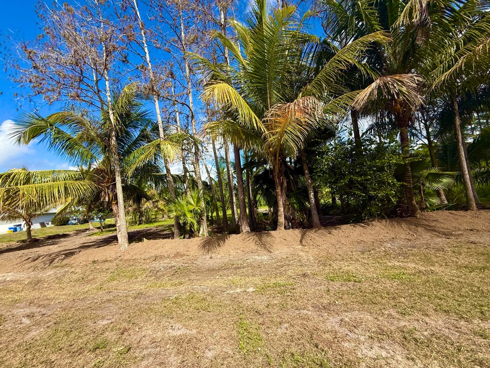 En Venta: $300,000 (0 camas, 0 baños, 0 Pies cuadrados)