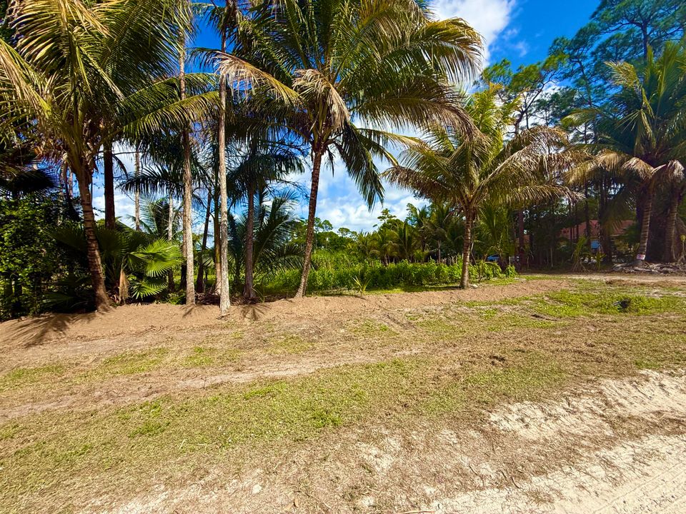 En Venta: $300,000 (0 camas, 0 baños, 0 Pies cuadrados)