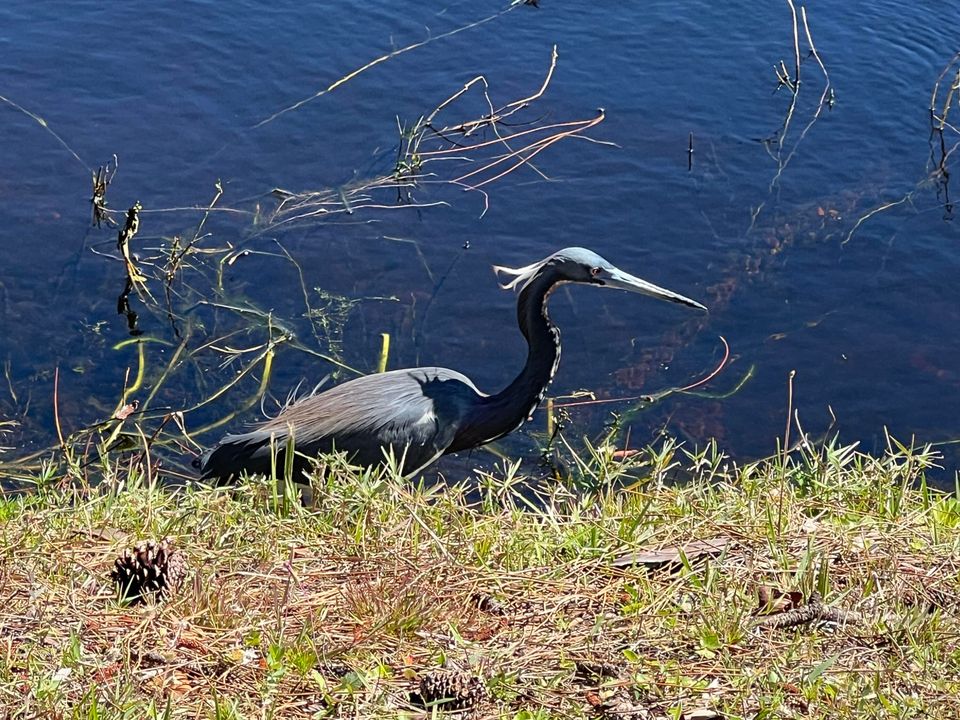 En Venta: $139,900 (0 camas, 0 baños, 0 Pies cuadrados)