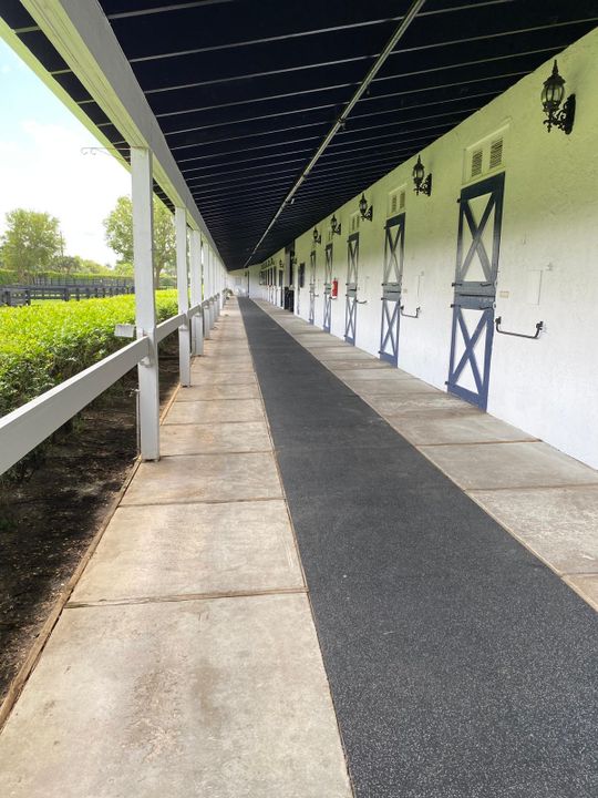 出租: $1,550 (2 贝兹, 1 浴室, 2500 平方英尺)